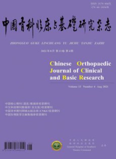 中国骨科临床与基础研究
